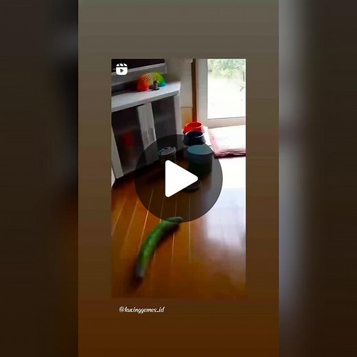 alam sejuk on TikTok