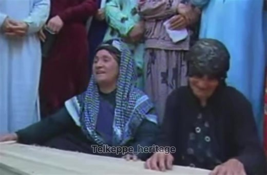 Chaldean American (@detroit.chaldean)’s videos with original sound - Chaldean American