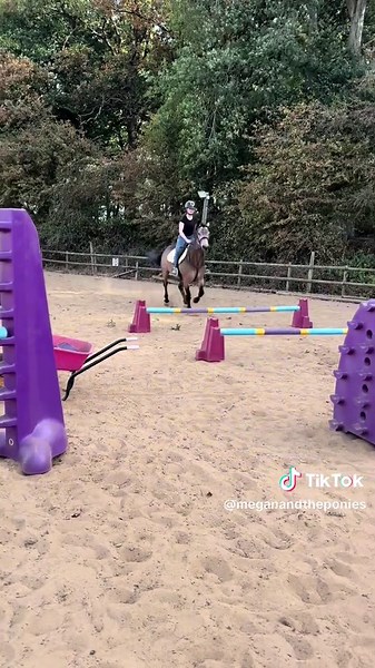 meganandtheponies on TikTok