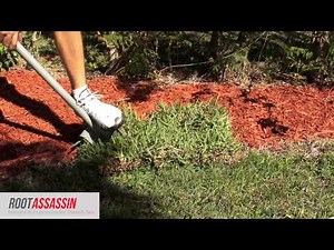 Root Assassin Demonstration Video