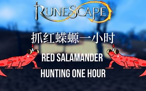 Red Salamander Hunting：新手抓红蝾螈一小时能赚多少金？