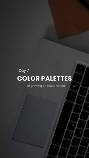 Sandeep Mahato | Content Creator on Instagram: "Day 7 of growing on social media. Tumhe pata hai mere videos itne premium kyun lagte hain? Kyuki main use karta hoon special color palettes 🎨✨ Har palette mein already decide hota hai: • Background color • Highlight text • Font color • Font style Isliye mere edits hamesha clean, classy, aur professional lagte hain. Agar tumhe bhi yeh premium color palettes chahiye, toh comment karo “COLOR” aur follow karna mat bhoolna 😎🔥 #reelsediting #contentcr