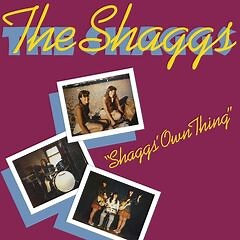 The Shaggs – Shaggs’ Own Thing (2020) » download by NewAlbumReleases.net