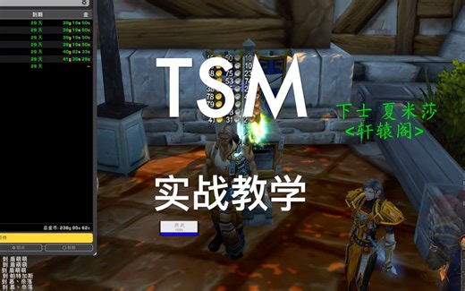 魔兽世界怀旧服TSM地精实战之一：物品分组