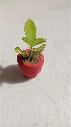 how to make miniature flower vase with clay