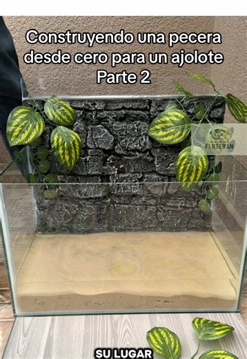 Construcción de una pecera para ajolotes: Parte 2