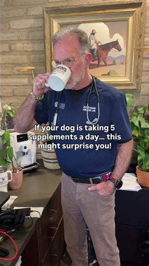 Which supplements does your dog take?