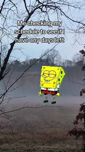 #Meme #CapCut #funny #work #spongebob