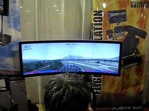 Flight simulator using a curved monitor