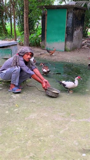 তৈ তৈ তৈ#funny #comedy #shorts