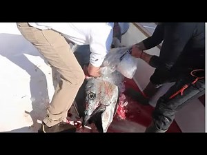 What it's REALLY Like When You Catch and Sell a Giant Blue Tuna (Ain't The Same As Wicked Tuna!!)
