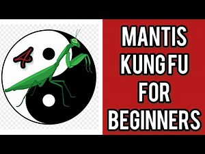MANTIS KUNG FU FOR BEGINNERS / lesson 5 . 7xing , seven star mantis / 螳螂拳