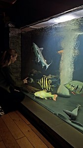 92K views · 9.2K reactions | Can't wait to visit this epic monster...