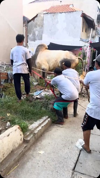 trenggaleknow on Instagram