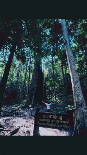 01/02/69 📍อุทยานแห่งชาติตากสินมหาราช 🏕️ 💚อีกหนึ่งอุทยานที่บรรยากาศดีมากๆ ลมเย็นทั้งวัน 💚ห้องน้ำสะอาด น้ำแรง มีโซนล้างของ 💚ถังขยะไม่มีต้องนำถุงดำมาแล้วเก็บขยะไปทิ้งเอง 💚มีคาเฟ่ 💚พี่ๆเจ้าหน้าที่อุทยานน่ารักมาๆ 💕 ##ตาก