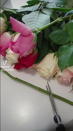 How To Bring Dead Flowers Back To Life