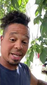 Vehicle Pilot 2006 shift solenoid fix