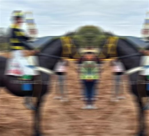 Mini PAQUITO 👑❤️🥺