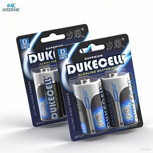 [Hot Item] Premium D Alkaline Battery Pack for Reliable Power Supply