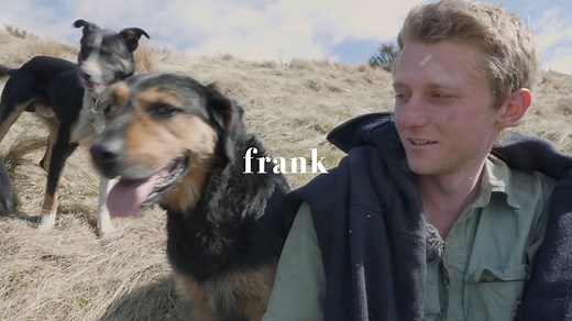 New Zealand has its own dog breed: Huntaway. Tough, hard working dogs that are an essential tool for farmers throughout the country. Episode first screened in 2019 #huntaway #farmdoglife | Frank Film