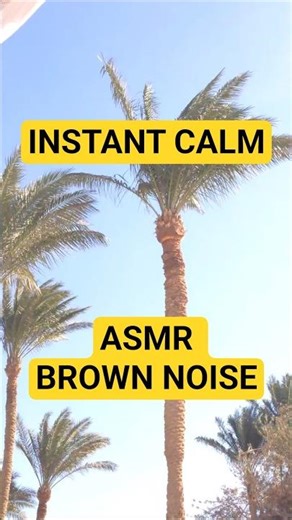 Palm Tree Rustling 🌴 | Brown Noise ASMR for Instant Calm #asmr