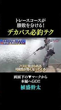 [Guaranteed Technique for Catching Big Bass] The tracing course is what makes the difference! A s...