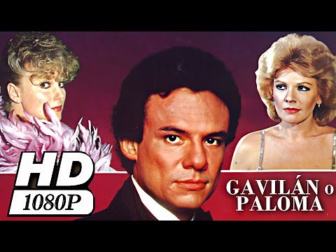 Película - Gavilán o paloma (1985) - REMASTERIZADA HD RESUBIDA