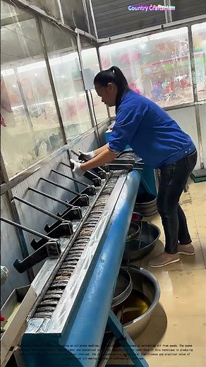 Pressing Oil: How Traditional Methods Meet Modern Efficiency