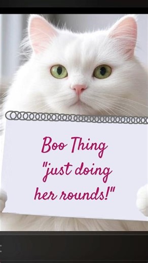 Bella's My Lil Boo Thing! #cutecats #funnycats #boothing #cats