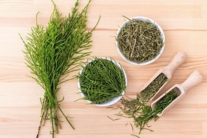 Fıtığı Yok Eden Bitkisel Kür: Şifalı Tarif - Nefis Yemek Tarifleri