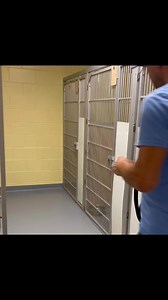 39K views · 870 reactions | UPDATE: a dear supporter of ours would...