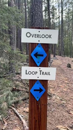 Custer State park The Lost Trails
