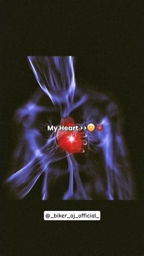 Mai tera hi diwana hu #shorts#pulsar #rs200#bajaj#shortsfeed #bajajmotorcycle