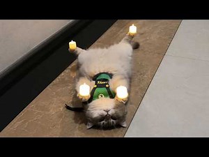 ET LA LUMIÈRE FUT #2