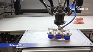 Robotic automation is enabling flexible manufacturing in the food industry to increase productivity, product quality, and more importantly, food safety. The seafood industry, in particular, has had minimal automation compared to other sectors, due to the delicate, amorphous nature of the products. However, the challenge of handling amorphous and delicate objects can quickly be solved with the right end-of-arm tool (EOAT). Through automation, companies can increase productivity and get products t