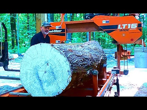 Sawing big Live Edge Oak Slabs