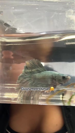 Exploring My Environmental Science Project