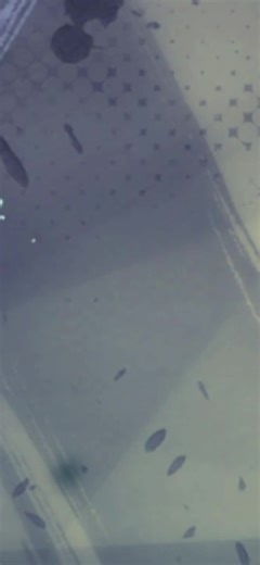 LF Android 17 Showcase #dbl #dblegends @number1hope