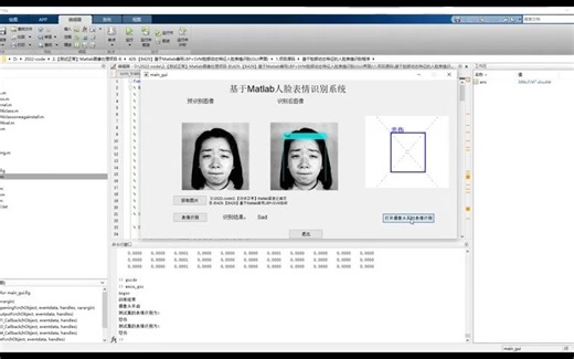基于Matlab编写LBP+SVM脸部动态特征人脸表情识别(GUI界面)(MATLAB)