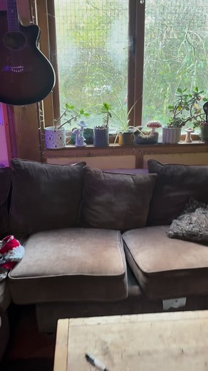 Pendle Plant Craft on Reels