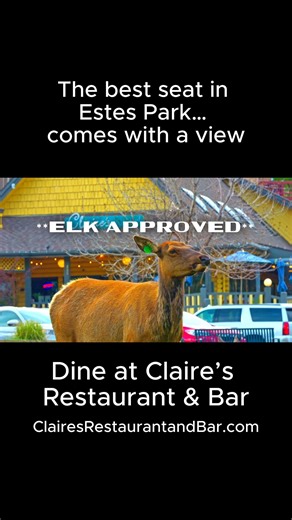 Locally sourced ingredients, mountain views, and a menu that changes with the seasons. That’s what makes Claire’s Restaurant & Bar a true Estes Park favorite. Enjoy handcrafted dishes made to order, a full bar, and that small-town charm that keeps both locals and visitors coming back year after year. #estesparkdining #visitestespark #clairesrestaurantandbar #estesparkco | Rocky Mountain Channel and Nick Molle Productions