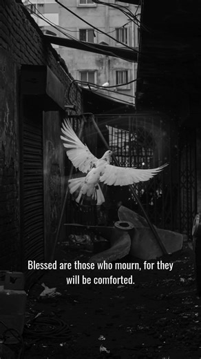 Finding Comfort in God's Word: Bible Verses for Grief & Loss 🕊️ #shorts