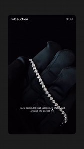 WLC Auctions on Reels