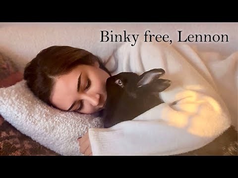 I'll see you soon, Lennon ❤️ | Saying Goodbye to My Rabbit
