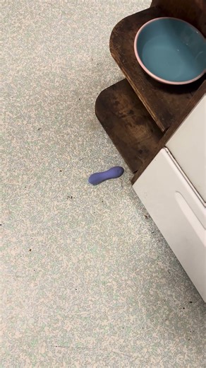 How to make an oscillator