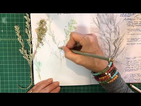 Backyard Drawing, Big Sagebrush