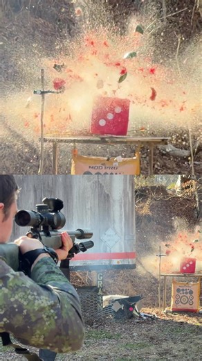 Bow vs Rifle: A Fun Comparison with Pumpkins