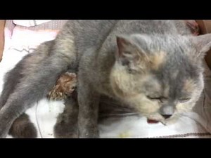 It's a new life on earth