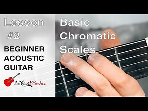 Beginner Guitar Chromatic Scale // Lesson 2 // Beginner Guitar Lesson