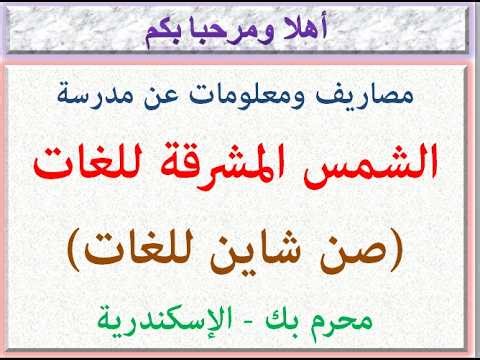 مصاريف ومعلومات عن مدرسة صن شاين للغات (الشمس المشرقة للغات) (محرم بك - الاسكندرية) 2026 - 2027